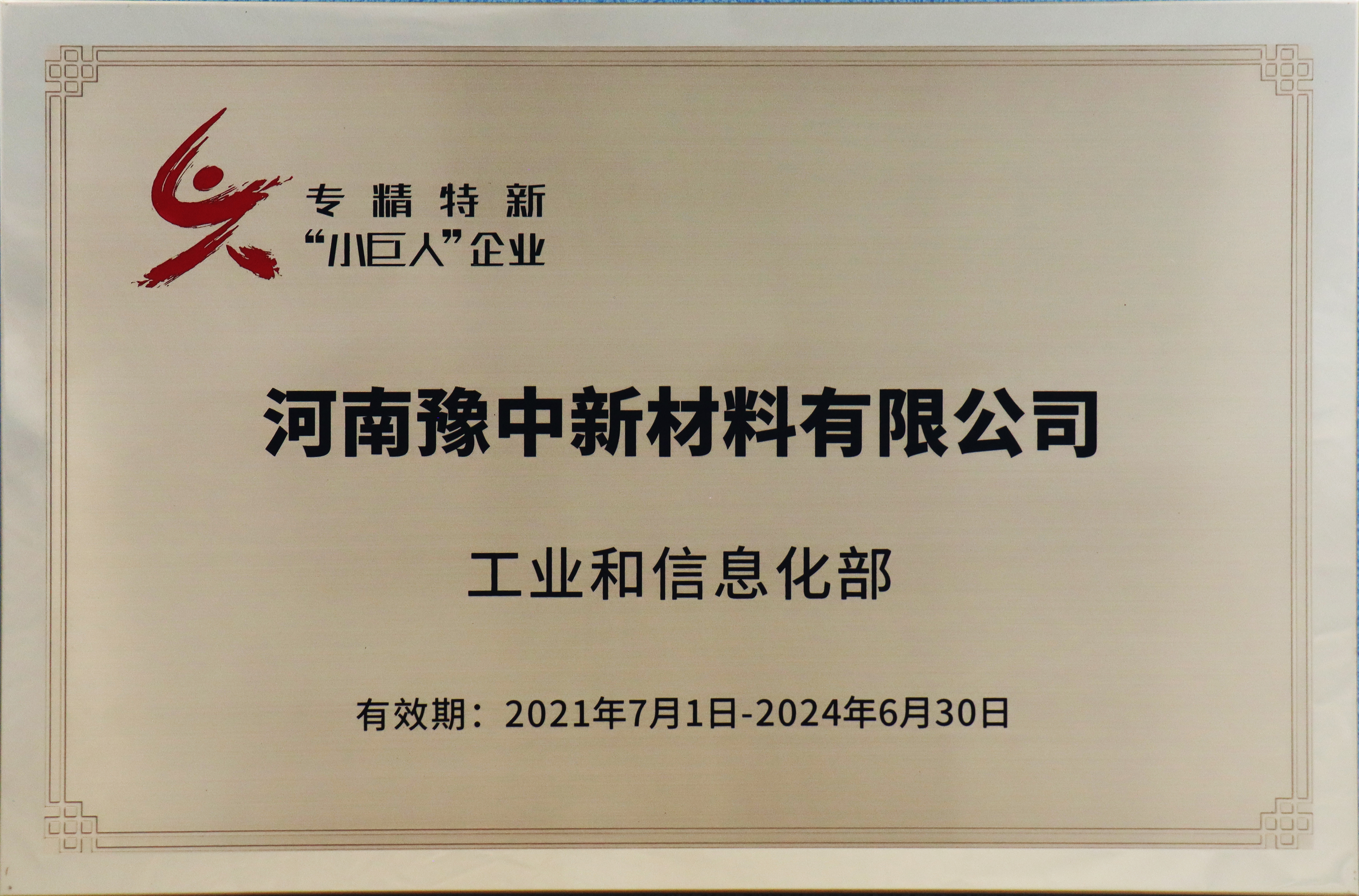 全國“專精特新”小巨人企業(yè)